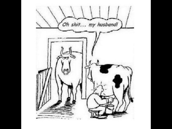 03-1396502163-1779133-532866960157004-47