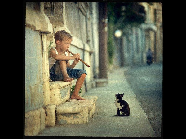 15-1397539265-1959343-727419630622865-41