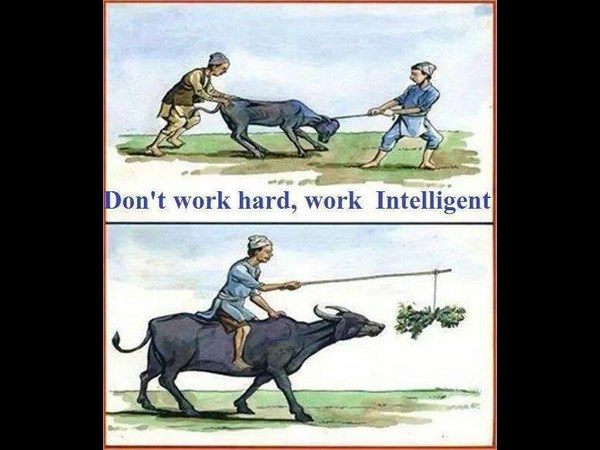 08-1399525396-10289911-676495579084790-1