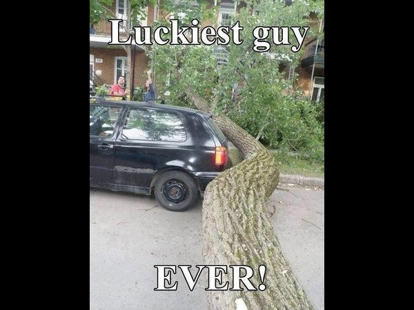 14-1400046119-10252166-549736388470061-6