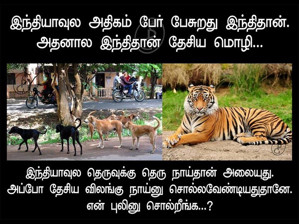 26-1403757360-10494682-470637916413594-3