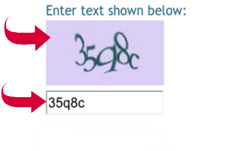 How to Send an Anonymous Email?