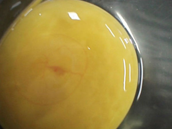 கோழிக்குஞ்சு உருவாகும் படம்