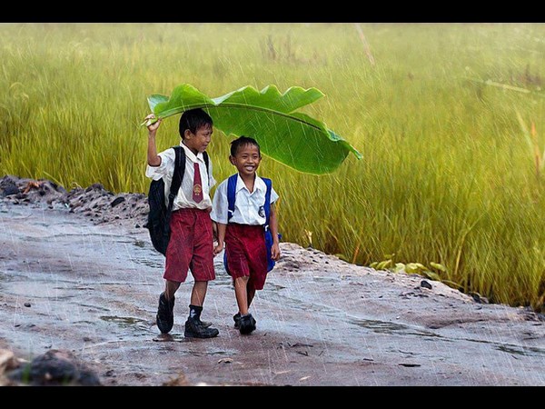 2013ன் சிறந்த புகைப்படங்கள்