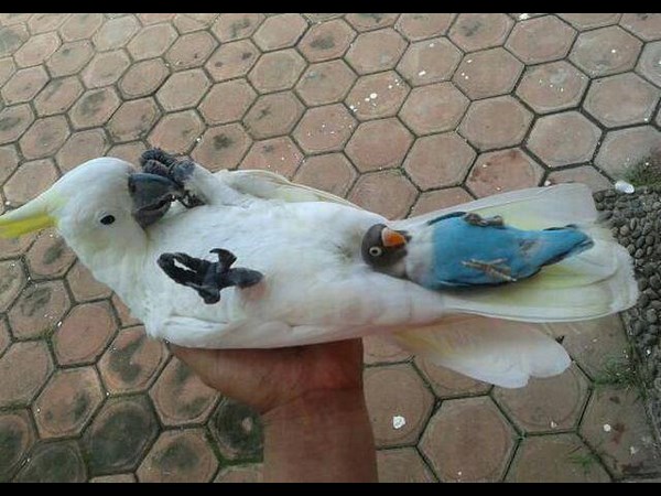டைமிங் போட்டோஸ்!!