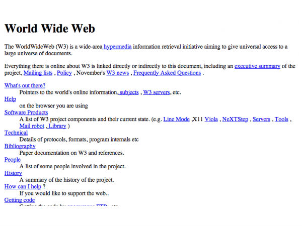 The First Website