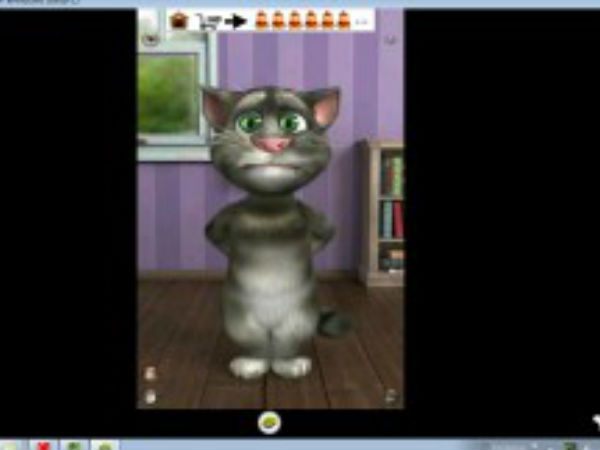 Tom Cat