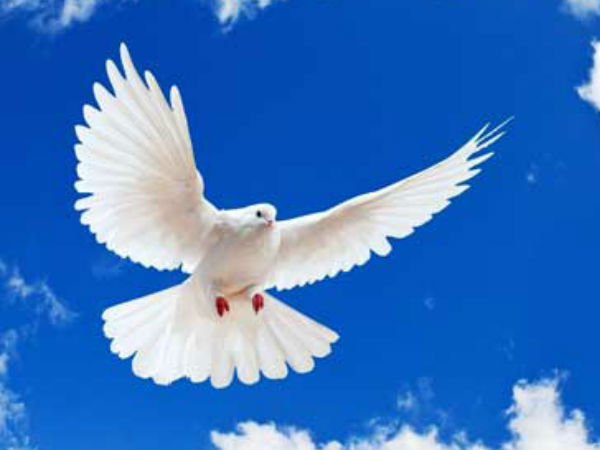 09 அமைதி