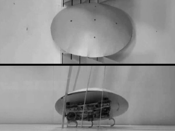 05. ரோபோட்டிக் காக்ரோச் (Robotic Cockroach) :