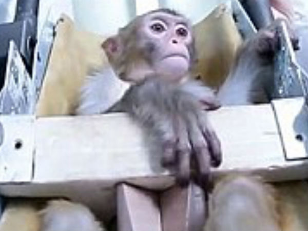 பயணம்