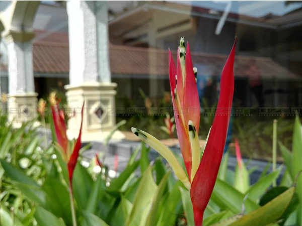 க்ளோஸ் அப்