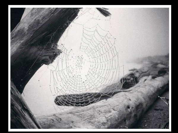 இயற்கை