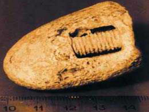 06. 300 மிலà¯à®²à®¿à®¯à®©à¯ à®à®£à¯à®à¯à®à®³à¯ பழà¯à®®à¯à®¯à®¾à®© à®à®°à¯à®®à¯à®ªà¯ ஸà¯à®à¯à®°à¯ :