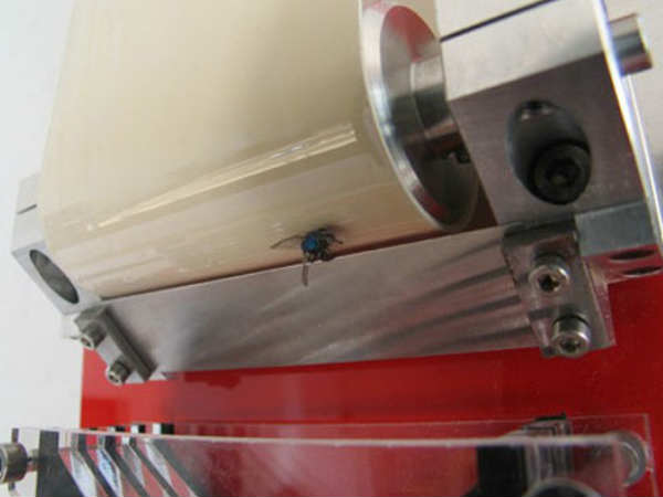 ரோபோஃபிளை கேட்சர் (RoboFly Catcher)