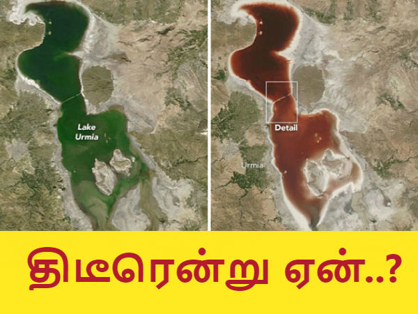 மேலும் படிக்க :