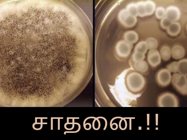 மேலும் படிக்க :