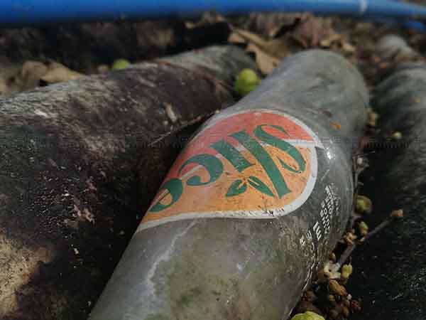 மேக்ரோ ஷாட்: