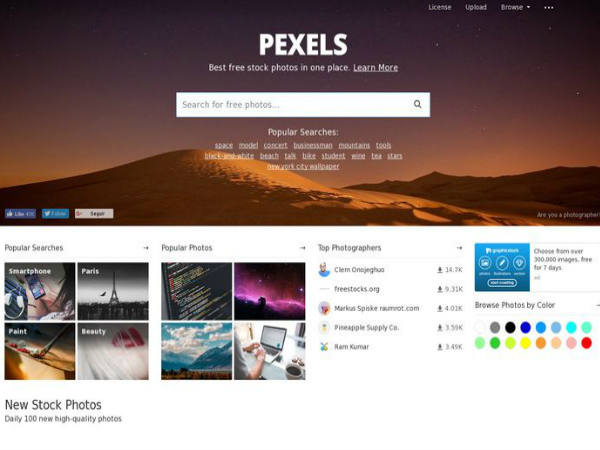 பெக்ஸெல்ஸ் (வெப்): Pexels (Web)