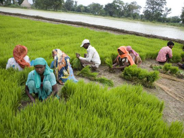 வேளாண்மையின் ஒப்பந்த விவசாயம்