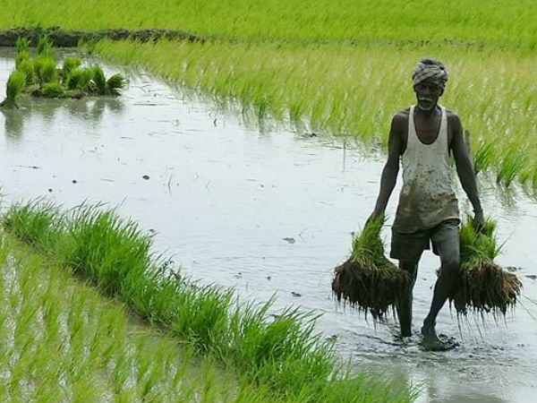 சுமார் ரூ.2/- கோடி வரை