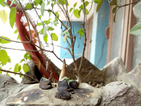 நிலையான லென்ஸ், எச்டிஆர்