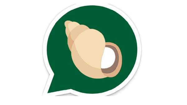 மே 31 ம் தேதி கிம்போ நீக்கப்பட்டது