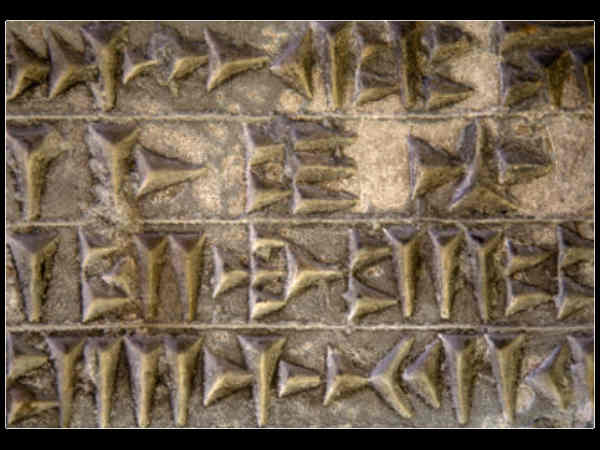 உலகின் மூத்த மொழியே தமிழ் எனக் கூறி அதிரவிட்ட ஏலியன்கள்.!