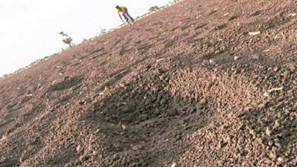 பயங்கர சத்தம்: