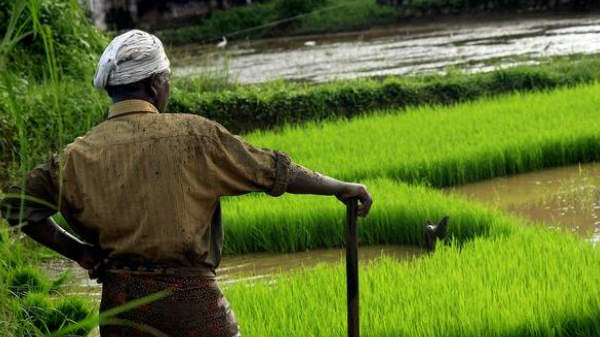 மத்திய அரசு திட்டங்கள்: