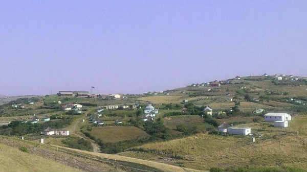மான்கோசி