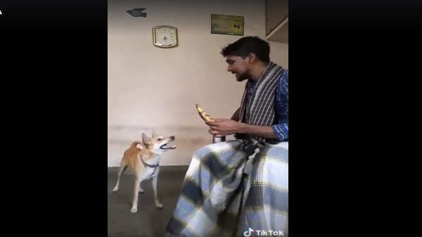 டிக் டாக் ஆப்: