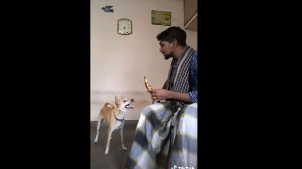 வித்தியமாச முயற்சியில் இளைஞர்: