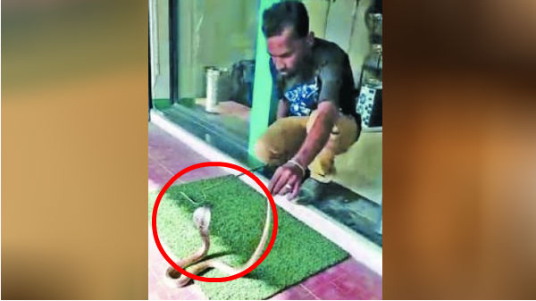 பாம்பு பணம் எடுக்கல ஆனா படம் எடுத்துச்சாம்