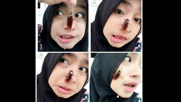 #cockroachchallenge