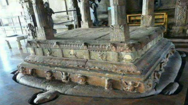 கடல் ஆமையில் தொழில்நுட்பம்: