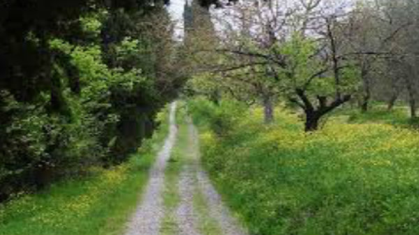 மொத்தம் 14ஆயிரம் மைல்கள்