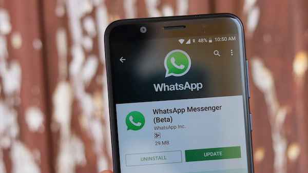 அரட்டைகளின் உரைப்பெட்டியில் ஒட்டலாம்