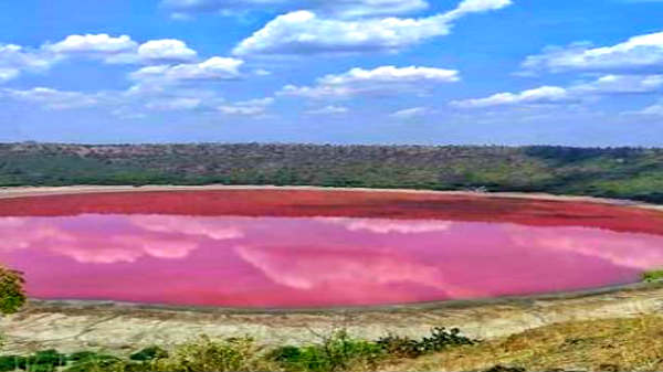 உப்புத்தன்மை மற்றும் பாசிகளின் இயல்புநிலை மாற்றம்