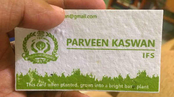 விசிட்டிங் கார்டின் புகைப்படம்