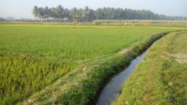 உற்பத்தியில் நிலையான முன்னேற்றம்