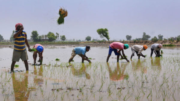 ஆல்ஃபபெட் நிறுவனத்தின் பிராஜெக்ட் மினரெல்