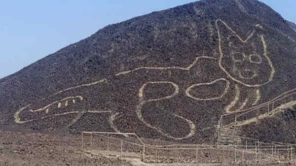 ராட்சஸ பூனை செதுக்கல்
