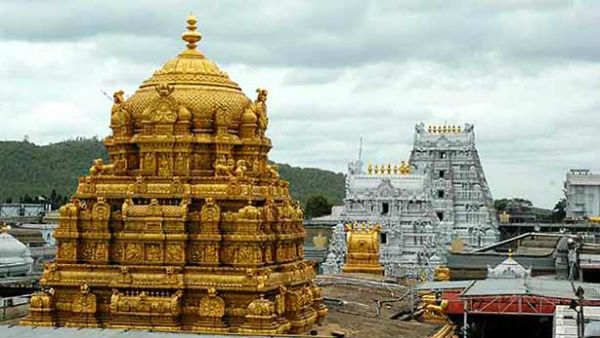 திருமலை ஏழுமலையான் தரிசனம்