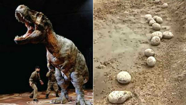 சிக்க்சூலப் (Chicxulub) தாக்கம்