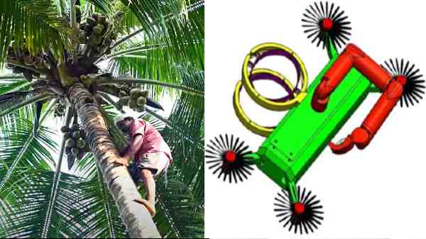 பறந்து பறந்து தேங்காய் பறிக்கும் 'ஃப்ளை-கோகோபோட்' ட்ரோன்