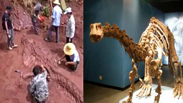 மாசோஸ்பொண்டிலிட் (massospondylid) டைனோசர்களின் இனமா?