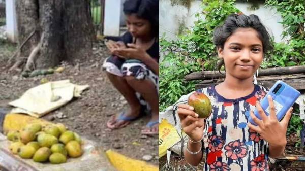 துள்சி கூறியது