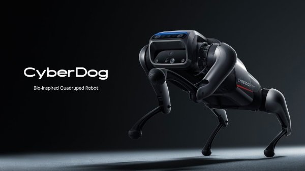 ரோபோ டாக் ஸ்பாட் என்ற இரண்டு வீடியோ