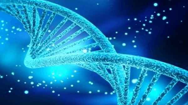 முதுமை நோய்யை தடுக்கும் ஆராய்ச்சி துவங்கியது