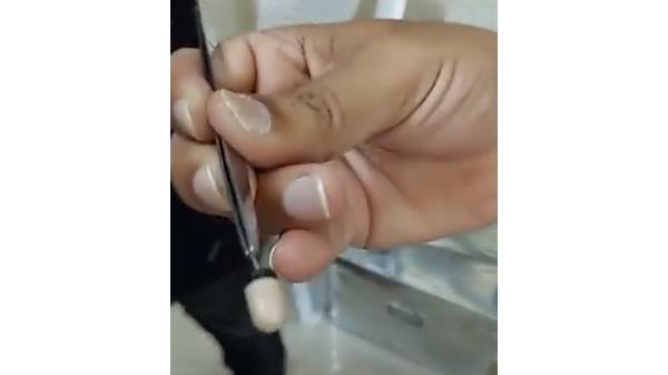 ஏமாற்ற என்ன ஒரு முயற்சி
